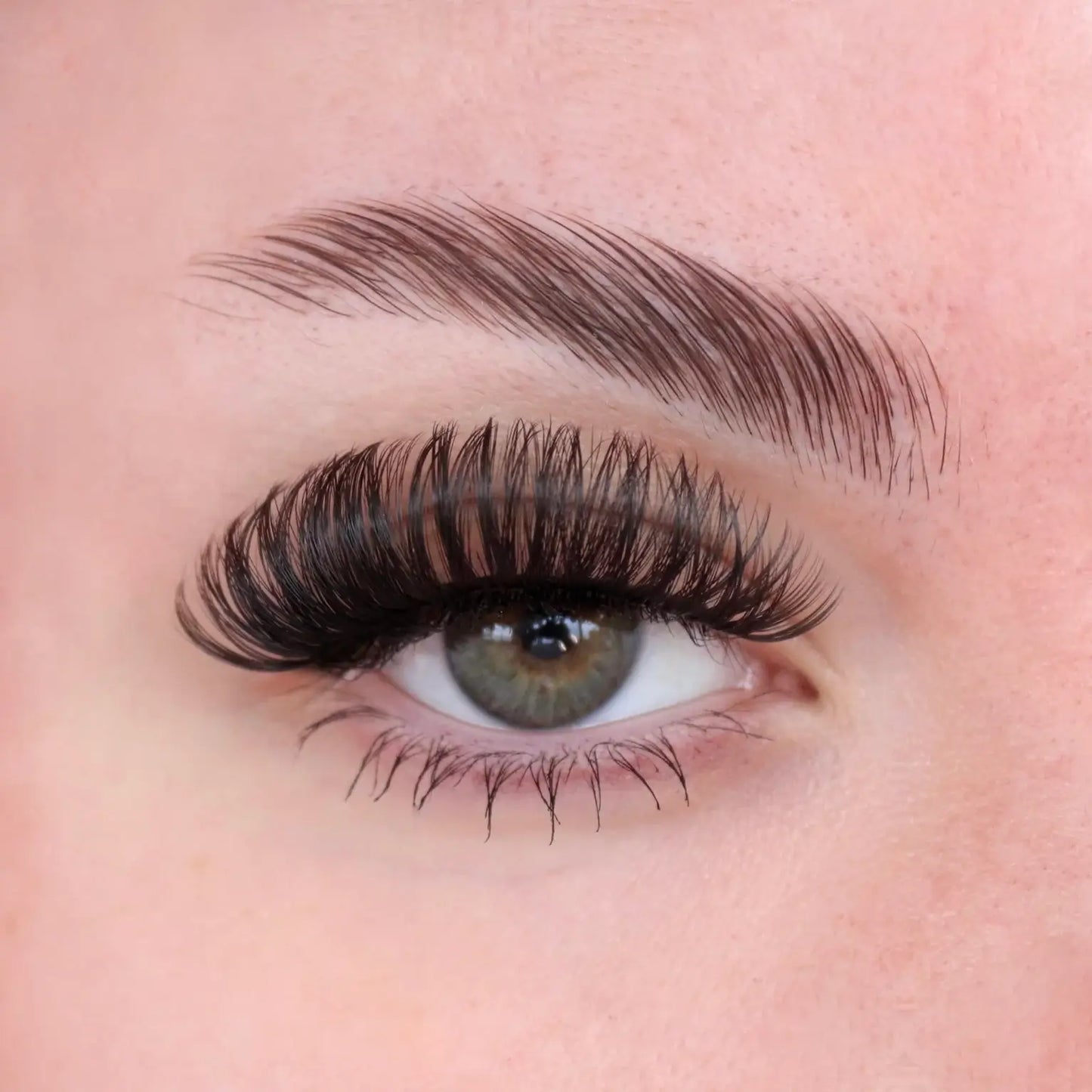 10D Russian Volume Faux Natural Eyelash Extension (320 fans)