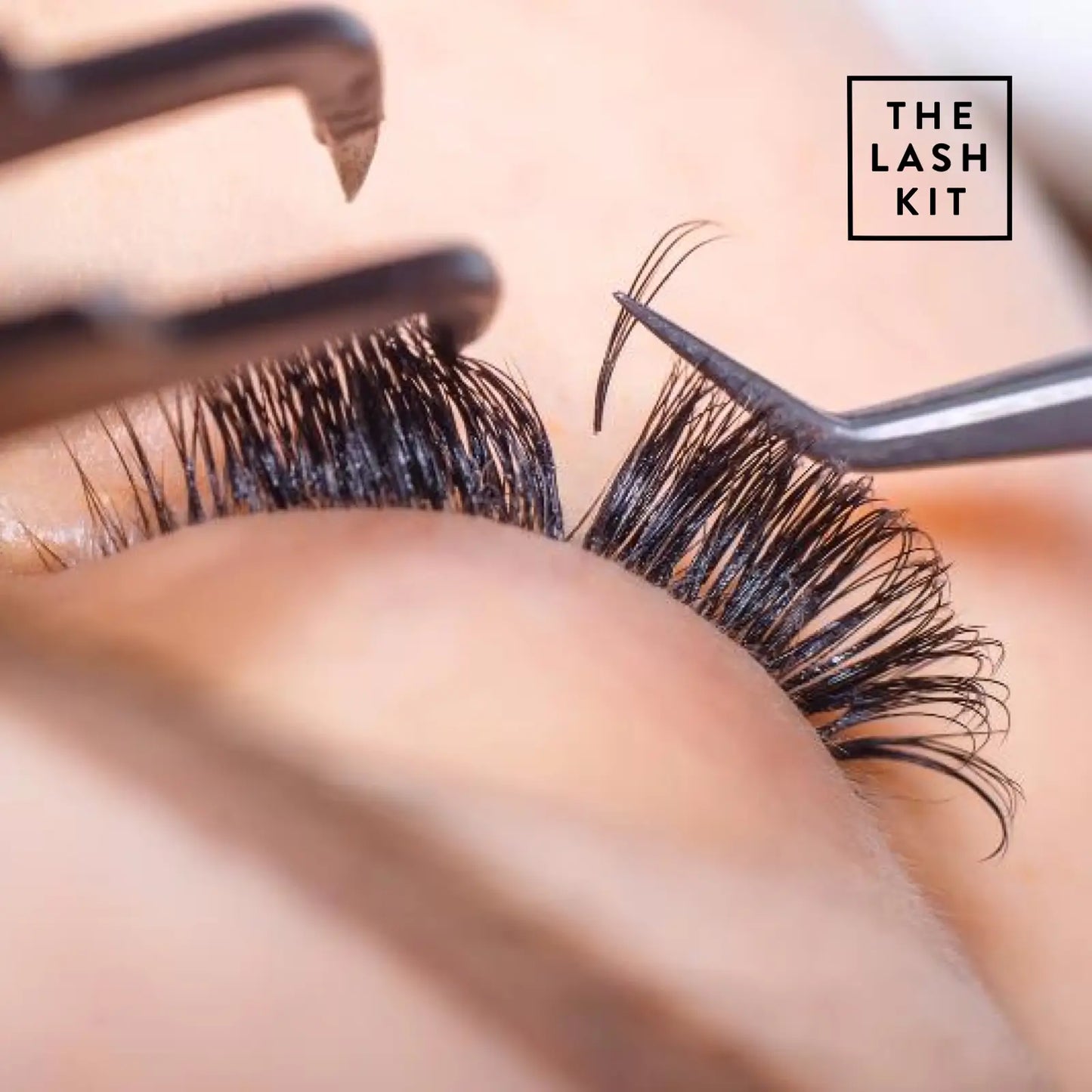 6D Cluster Volume Eyelashes