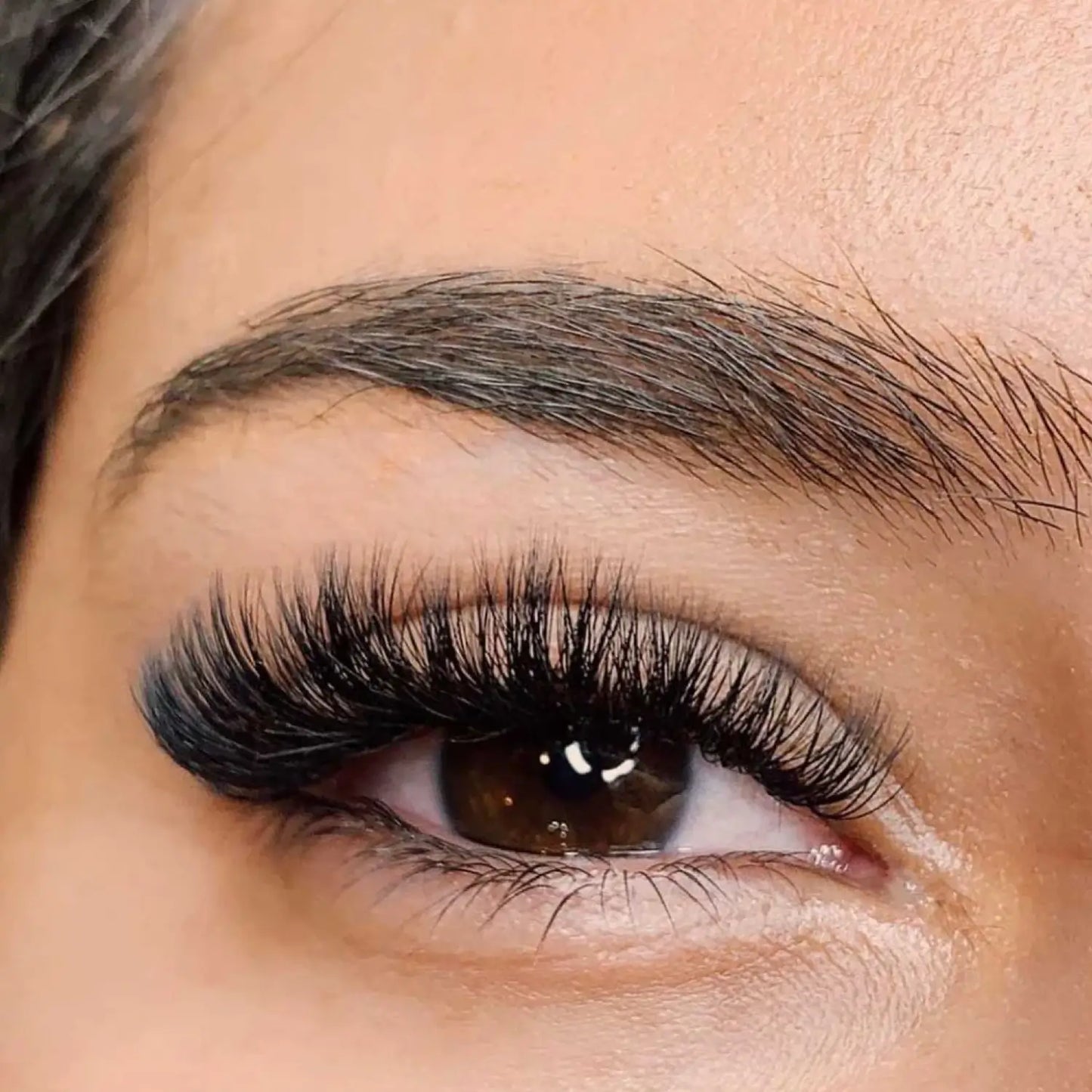 6D Cluster Volume Eyelashes