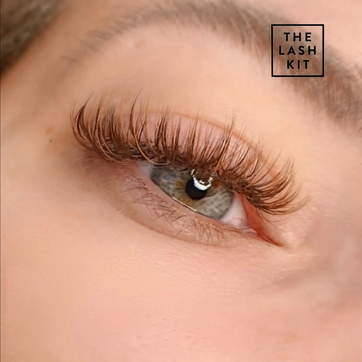 C Curl Brown Eyelash Extensions
