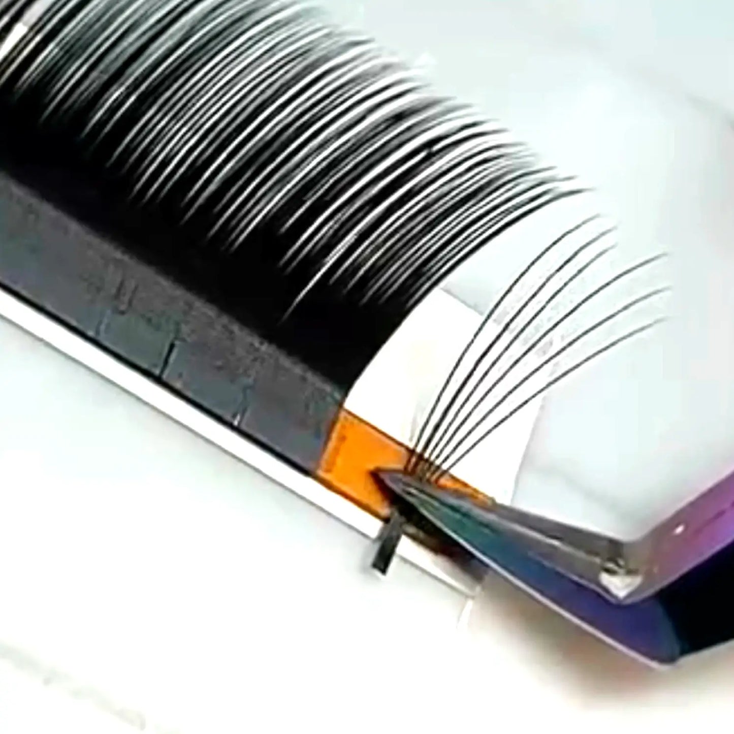 Easy Fan D Curl Volume Eyelash Extensions
