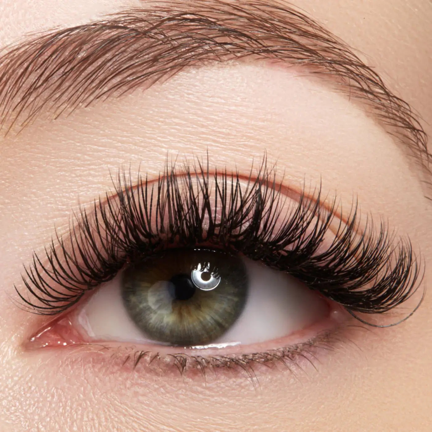 Easy Fan D Curl Volume Eyelash Extensions