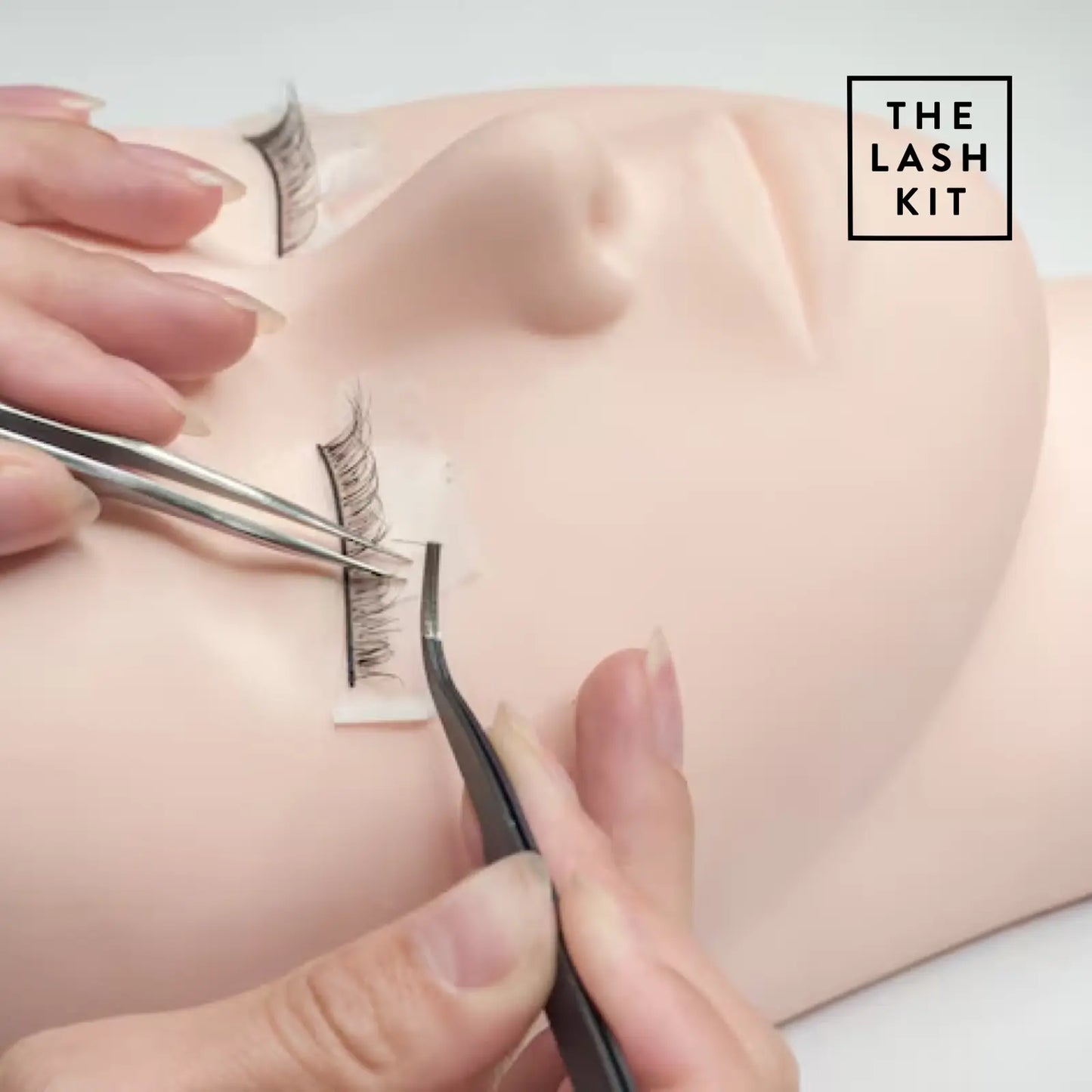 Mannequin Head Practice Lashes (5 Pair)