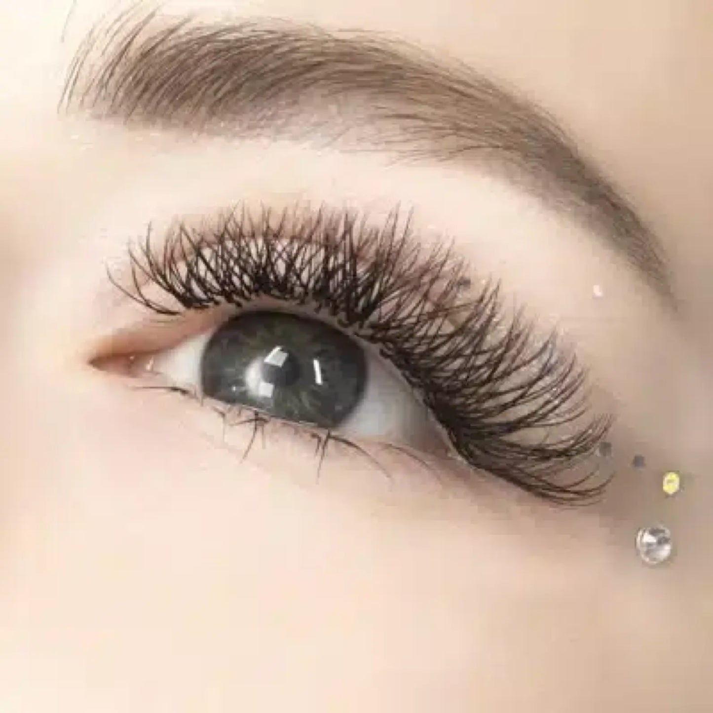YY Shape Volume Eyelashes