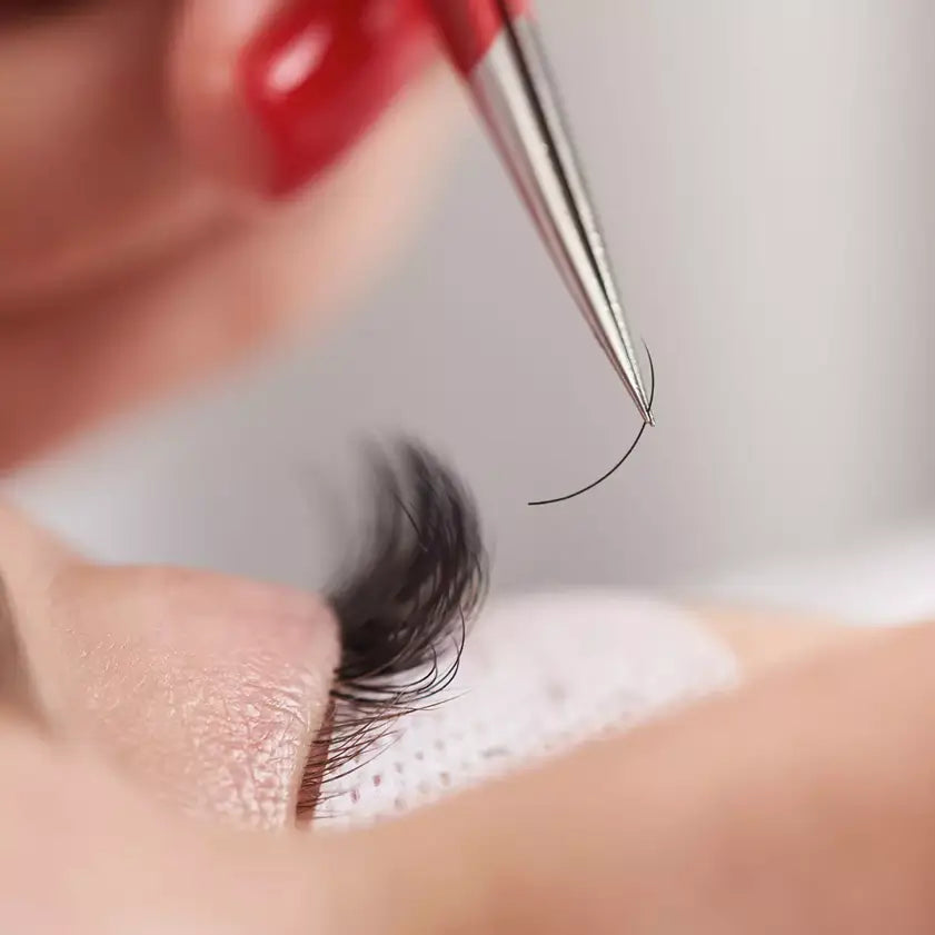 D Curl Eyelash Extensions