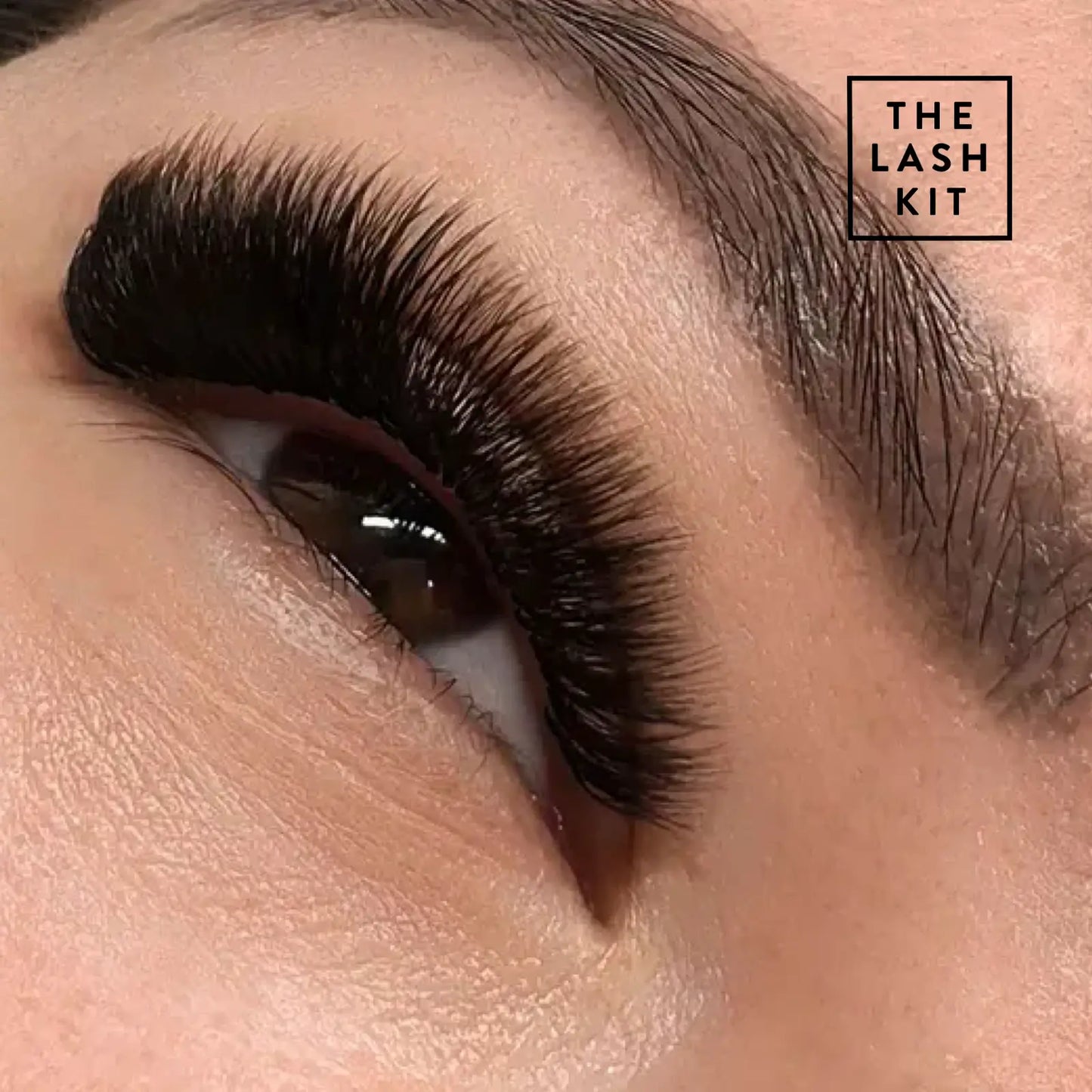 20D Russian Volume Faux Natural Eyelash Extension (320 fans)