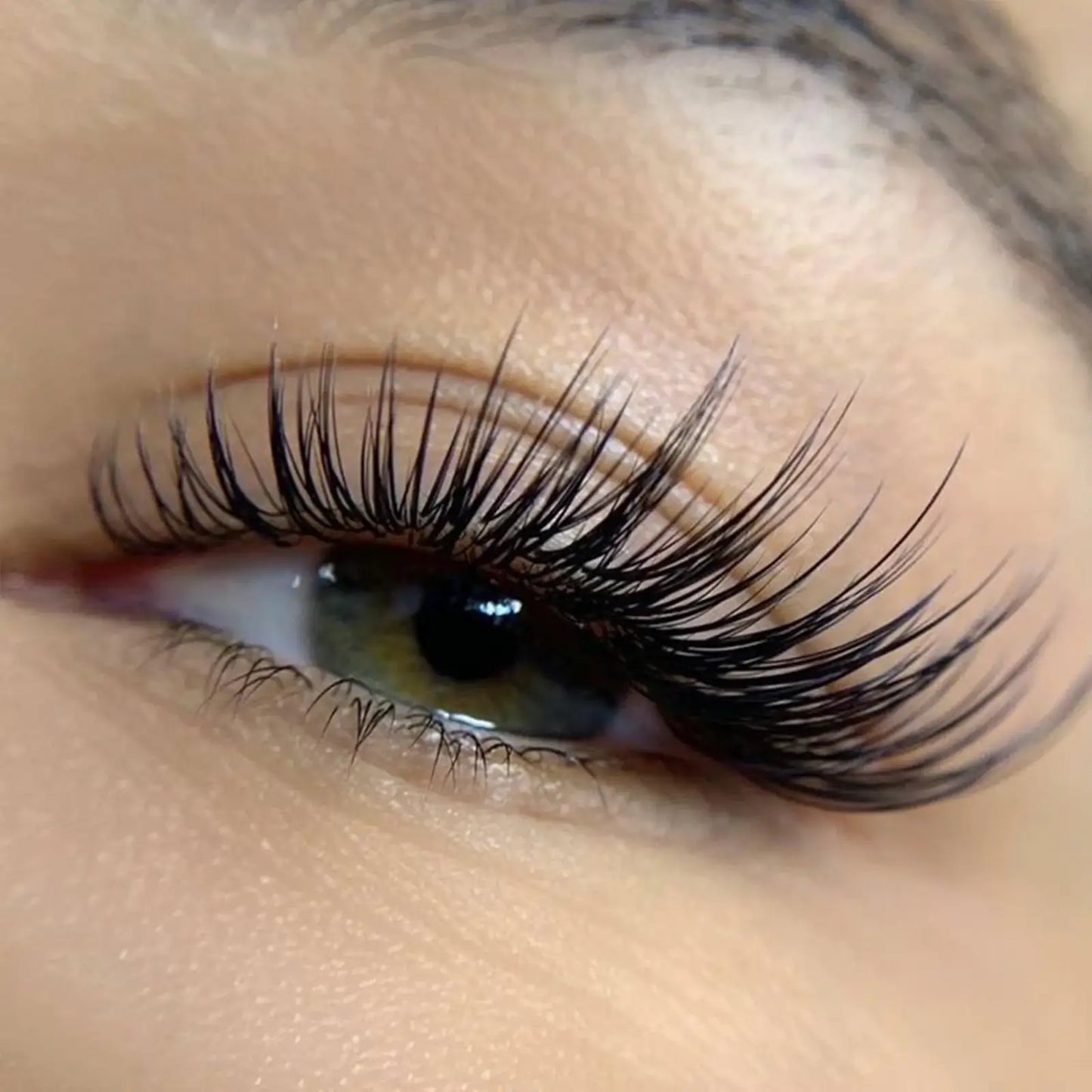 D Curl Eyelash Extensions