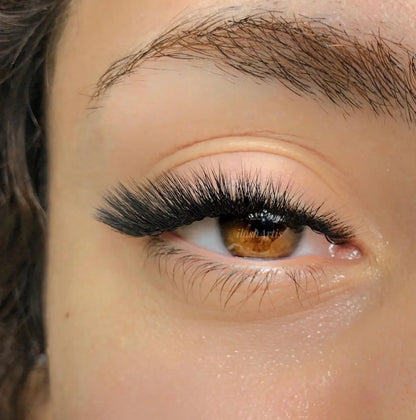 L Curl Professional Eyelash Extensions